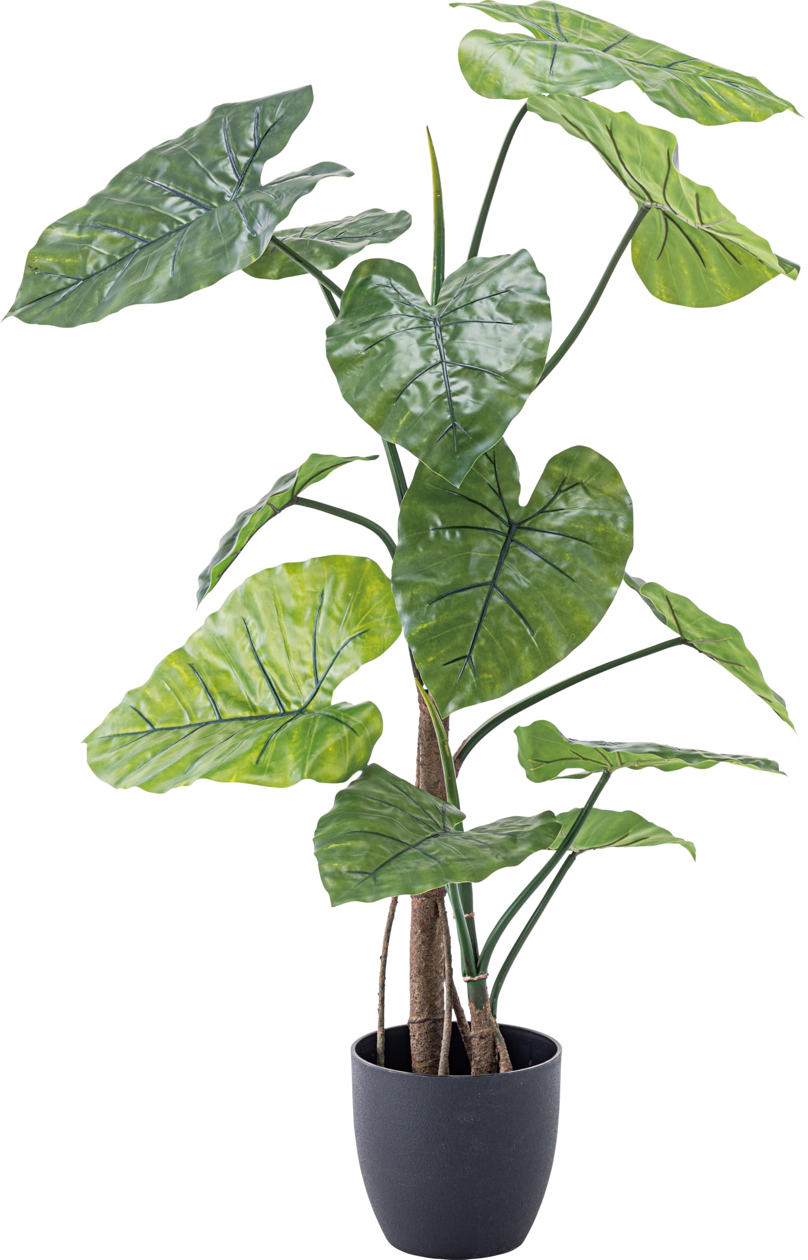 Amazon | フェイクグリーン クワズイモ ‎グリーン | 東谷(Azumaya-kk